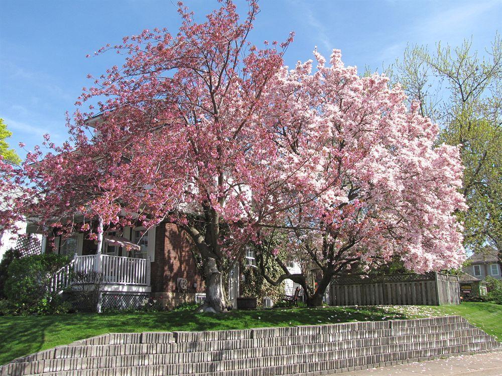 Strathaird Bed And Breakfast Niagara Falls Exteriör bild